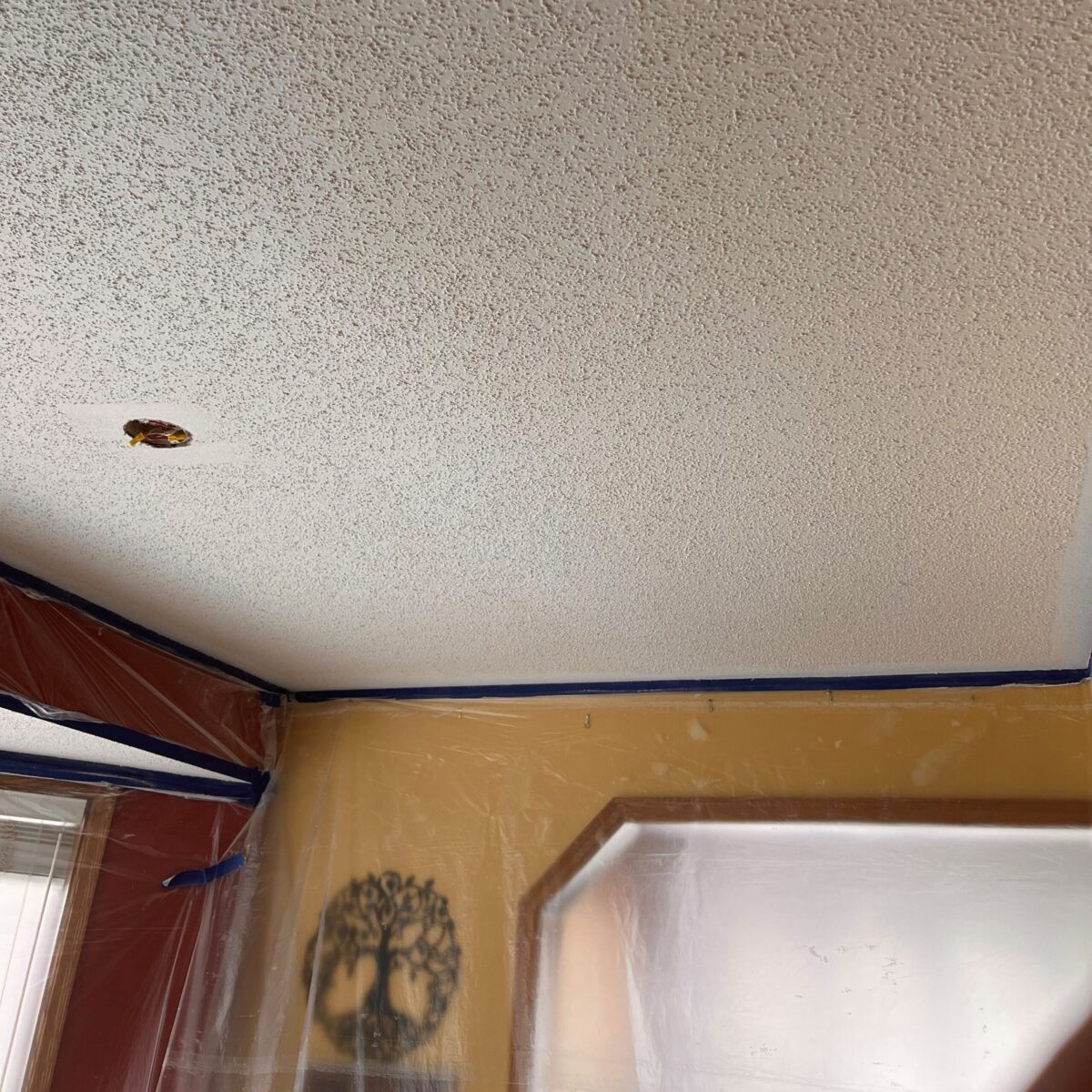 Ceiling Before